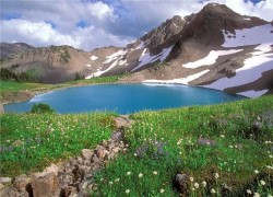 پارس پالت | پالت پلاستیکی در استان کهگیلویه و بویراحمد